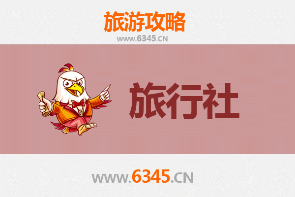 阿里革吉本地旅行社推荐：探索西藏秘境的专业指南