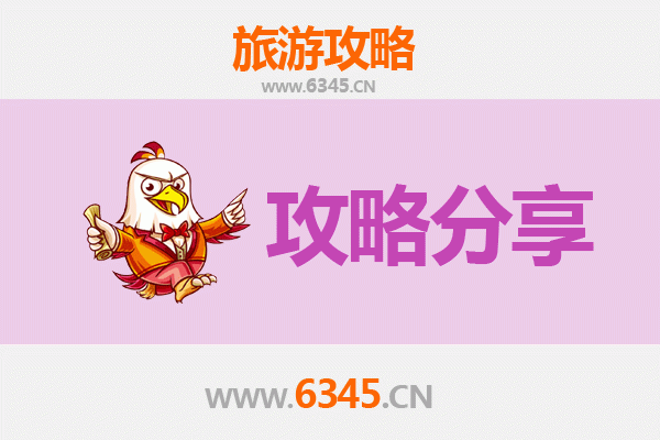 阿里革吉旅游攻略：跟团与自由行深度对比